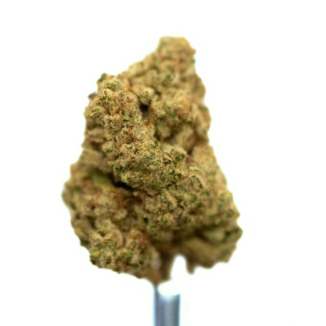 Cereal Milk · Greenhouse THCa Flower - Image 2