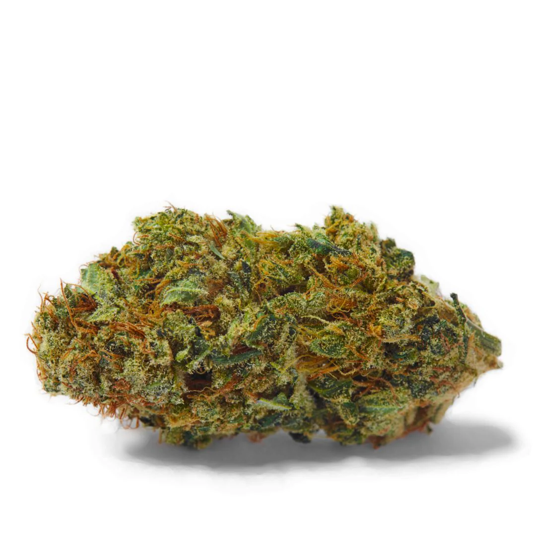 Gorilla Dog · Greenhouse THCa Flower